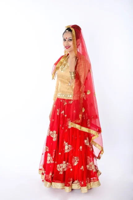 Radha Dress Lehenga Choli Costume