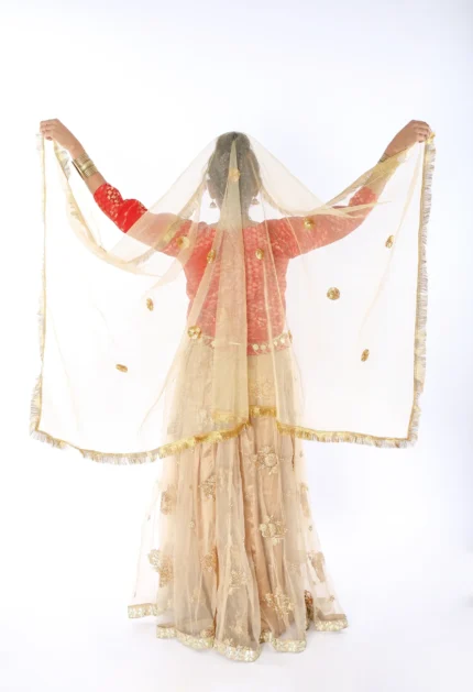 Radha Rani Dress Lehenga Choli