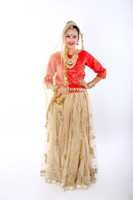 Radha Rani Dress Lehenga Choli