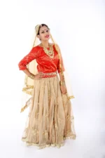 Radha Rani Dress Lehenga Choli