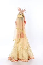 Radha Rani Dress for Janmashtami