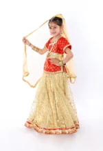 Radha Rani Dress for Janmashtami