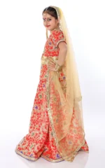 Radha Rani Fancy Dress Lehenga Golden Red
