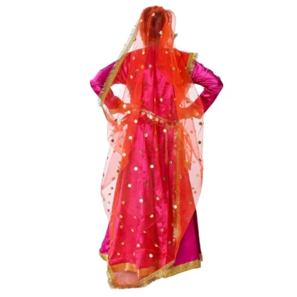 Radha Rani Lehenga Choli Set Fancy Dress