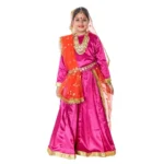 Radha Rani Lehenga Choli Set Fancy Dress