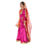 Radha Rani Lehenga Choli Set Fancy Dress