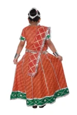 Rajasthani Dance Fancy Dress Costume
