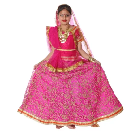Rani Lehenga Choli Dress Pink