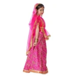 Rani Lehenga Choli Dress Pink