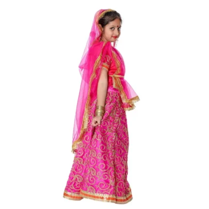 Rani Lehenga Choli Dress Pink
