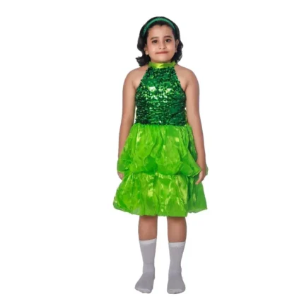 Western Dance Dress for Girls Green