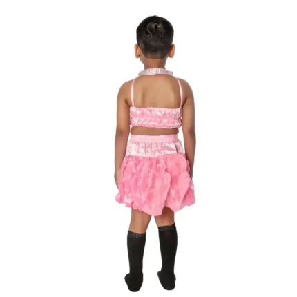 Western Dance Fancy Dress Skirt Top