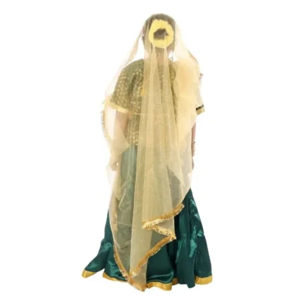 Kathak Dance Dress Costume For Girls Green back