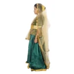 Kathak Dance Dress Costume For Girls Green back