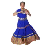 Rajasthani Dance Lehenga Choli Dress For Girls
