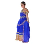 Rajasthani Dance Lehenga Choli Dress For Girls
