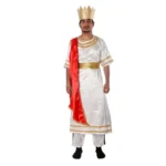 Roman King Fancy Dress Costume For Boys
