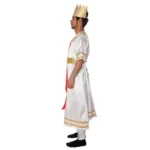 Roman King Fancy Dress Costume For Boys