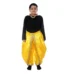 Semi Classical Fusion Dance Fancy Dress Costume