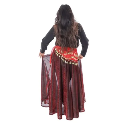 Stylish Western Dance Long Skirt Top Dress For Girls