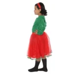 Western Dance Fancy Dress Skirt-Top For Girls