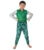Western Dance Fancy Dress for Boys Green & Silver