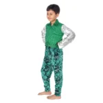 Western Dance Fancy Dress for Boys Green & Silver